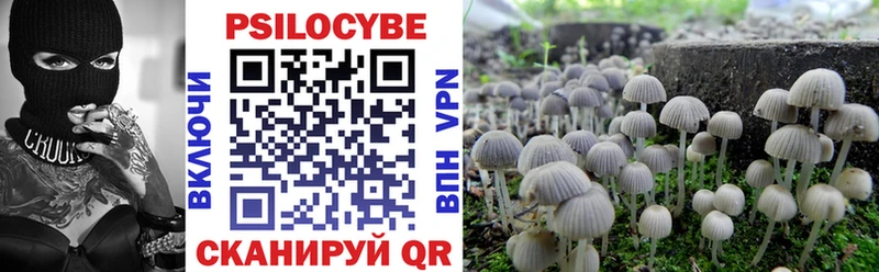 ОМГ ОМГ   Саратов  Псилоцибиновые грибы Magic Shrooms 